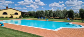 Osteria Vecchia 4 Bolgheri